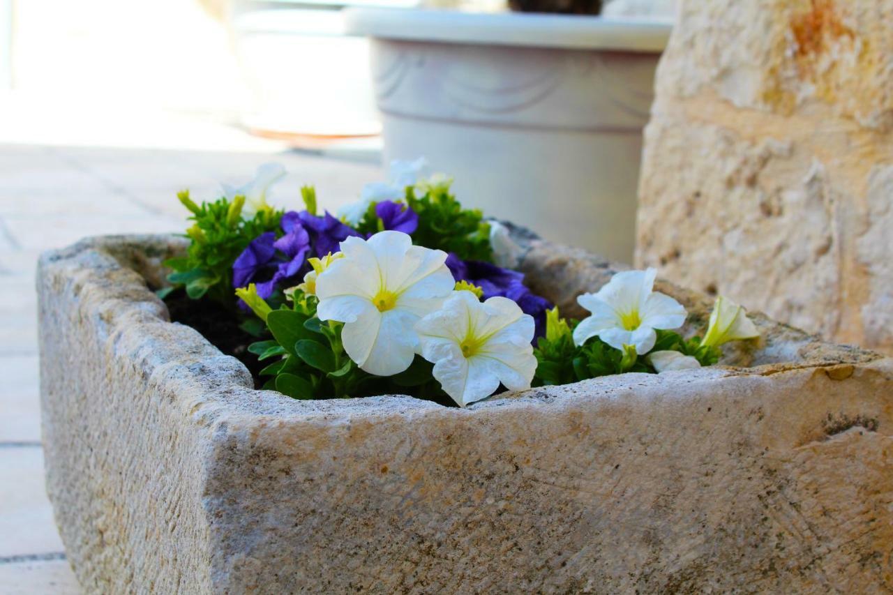 Trulli Antica Fonte Bed & Breakfast Alberobello Dış mekan fotoğraf