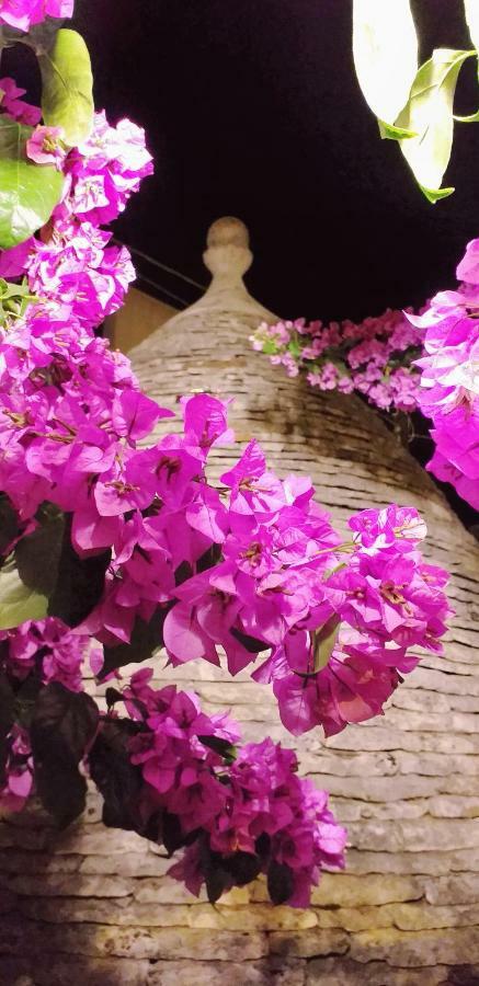 Trulli Antica Fonte Bed & Breakfast Alberobello Dış mekan fotoğraf